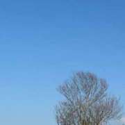 ヒメ日記 2024/12/29 09:21 投稿 かれん カワサキEROTIC（ソープランド）