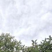 ヒメ日記 2025/01/19 10:26 投稿 かれん カワサキEROTIC（ソープランド）