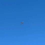 ヒメ日記 2025/01/22 14:23 投稿 かれん カワサキEROTIC（ソープランド）