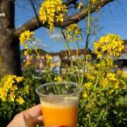 ヒメ日記 2025/02/14 22:47 投稿 かれん カワサキEROTIC（ソープランド）