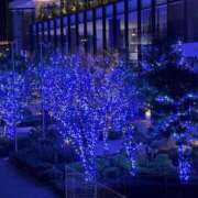 ヒメ日記 2025/02/24 12:47 投稿 かれん カワサキEROTIC（ソープランド）