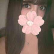 ヒメ日記 2025/02/27 22:18 投稿 かれん カワサキEROTIC（ソープランド）