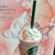 ヒメ日記 2025/03/04 14:14 投稿 かれん カワサキEROTIC（ソープランド）