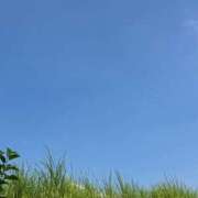 ヒメ日記 2025/08/24 09:35 投稿 かれん カワサキEROTIC（ソープランド）