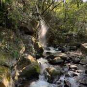 ヒメ日記 2025/08/29 09:51 投稿 かれん カワサキEROTIC（ソープランド）