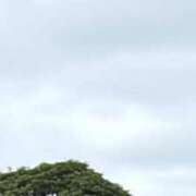 ヒメ日記 2025/09/19 06:11 投稿 かれん カワサキEROTIC（ソープランド）