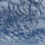 ヒメ日記 2025/10/18 09:15 投稿 かれん カワサキEROTIC（ソープランド）