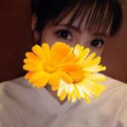 ヒメ日記 2025/11/24 14:53 投稿 かれん カワサキEROTIC（ソープランド）