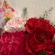 ヒメ日記 2026/05/14 15:21 投稿 かれん カワサキEROTIC（ソープランド）