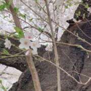 ヒメ日記 2025/02/27 21:13 投稿 つばき 美熟女専科白夜