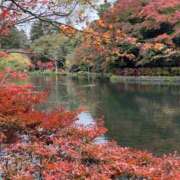 ヒメ日記 2025/09/05 21:39 投稿 つばき 美熟女専科白夜