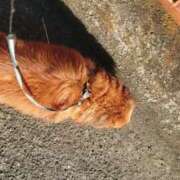 ヒメ日記 2025/03/18 15:42 投稿 月島らん しこたま奥様 横浜店