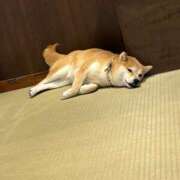 ヒメ日記 2024/12/25 00:35 投稿 ユリア 【福岡デリヘル】20代・30代★博多で評判のお店はココです！