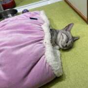 ヒメ日記 2025/02/03 00:22 投稿 ユリア 【福岡デリヘル】20代・30代★博多で評判のお店はココです！