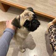 ヒメ日記 2025/02/08 22:42 投稿 ユリア 【福岡デリヘル】20代・30代★博多で評判のお店はココです！