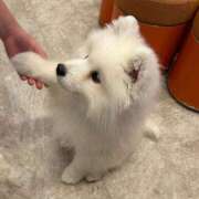 ヒメ日記 2025/02/23 22:09 投稿 ユリア 【福岡デリヘル】20代・30代★博多で評判のお店はココです！