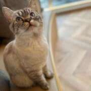 ヒメ日記 2025/04/08 14:27 投稿 ユリア 【福岡デリヘル】20代・30代★博多で評判のお店はココです！