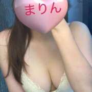 ヒメ日記 2024/12/18 08:24 投稿 まりん 桃李（とうり）