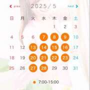 ヒメ日記 2025/04/22 11:34 投稿 まりん 桃李（とうり）