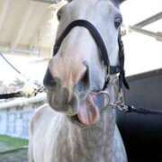 ヒメ日記 2025/05/24 23:54 投稿 まりん 桃李（とうり）