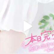 ヒメ日記 2025/04/10 16:49 投稿 そら ぽっちゃりデリヘル倶楽部