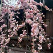 ヒメ日記 2026/02/18 06:49 投稿 そら ぽっちゃりデリヘル倶楽部