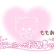 ヒメ日記 2024/06/25 15:57 投稿 ももあ 素人妻御奉仕倶楽部Hip's松戸店