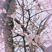 ヒメ日記 2025/03/28 16:57 投稿 かずみ 甲府人妻隊