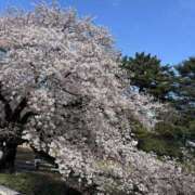 ヒメ日記 2026/04/08 18:31 投稿 りこ 東京♂風俗の神様 町田・相模原店