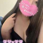 ヒメ日記 2025/05/04 12:27 投稿 すずか 群馬伊勢崎ちゃんこ