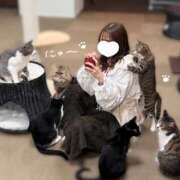 ヒメ日記 2025/02/09 20:15 投稿 みゆ 池袋派遣リフレ みんどる