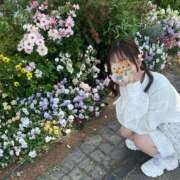 ヒメ日記 2025/04/20 13:55 投稿 みゆ 池袋派遣リフレ みんどる