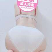 ヒメ日記 2025/02/24 13:31 投稿 椎名-しいな【FG系列】 ほんつま 沼津店 (FG系列)