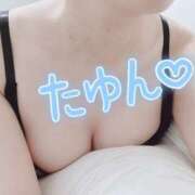 ヒメ日記 2025/08/09 10:03 投稿 椎名-しいな【FG系列】 ほんつま 沼津店 (FG系列)