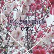 ヒメ日記 2025/04/01 14:43 投稿 かずこ 熟女の風俗最終章 高崎店