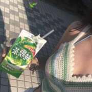 ヒメ日記 2025/03/29 14:32 投稿 真矢あいり(まやあいり) 東京ヒストリー lettre d'amour