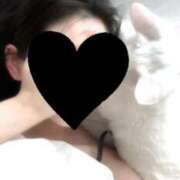 ヒメ日記 2025/07/14 20:22 投稿 真矢あいり(まやあいり) 東京ヒストリー lettre d'amour