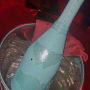 ヒメ日記 2025/07/31 20:20 投稿 ゆかり クリステル