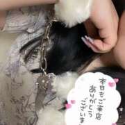 ヒメ日記 2024/12/25 03:30 投稿 りりツー Three＆Men’s Spa 甲府