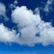 ヒメ日記 2024/12/13 16:26 投稿 みなみ♡ 俺のジュニア