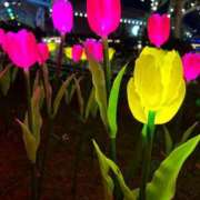 ヒメ日記 2024/12/29 08:46 投稿 みなみ♡ 俺のジュニア