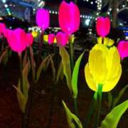 ヒメ日記 2024/12/30 04:02 投稿 みなみ♡ 俺のジュニア