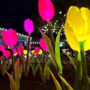 ヒメ日記 2025/01/16 02:16 投稿 みなみ♡ 俺のジュニア