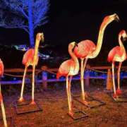 ヒメ日記 2025/01/21 20:26 投稿 みなみ♡ 俺のジュニア