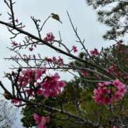 ヒメ日記 2025/02/20 14:25 投稿 みなみ♡ 俺のジュニア