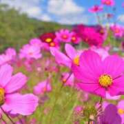 ヒメ日記 2025/03/15 03:17 投稿 みなみ♡ 俺のジュニア