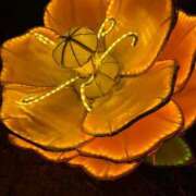 ヒメ日記 2025/03/17 16:09 投稿 みなみ♡ 俺のジュニア