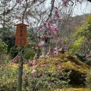 ヒメ日記 2025/03/29 16:19 投稿 みなみ♡ 俺のジュニア