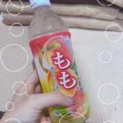 ヒメ日記 2025/08/25 14:52 投稿 てん マリン千姫