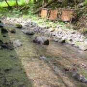 ヒメ日記 2024/07/30 12:07 投稿 あんず 奥様はエンジェル　町田店